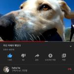 태어나서 이런 유튜버는 또 처음<b>보네</b>;;