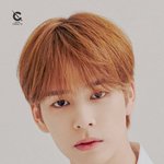 [드루와] 얘 <b>옹성우</b> 닮음