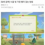 ㄹㅇ 모동숲 인기 비결 코로나가 <b>한몫</b>한듯