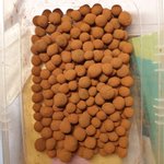 연유로 초콜릿 <b>만듬</b> 유휴