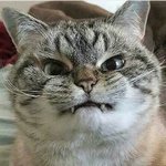 [댓글부탁해] <b>적성</b>고사 볼 애들 있냐 ㅠㅠ??