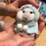 [댓글부탁해] 담임이랑 상담했는데