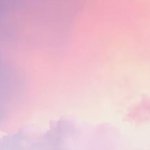 [19] 폰 배경화면 여러장 <b>뿌림</b>