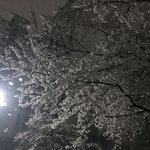 [댓글부탁해] 나 진짜 감성충인가봐