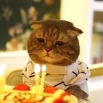 [댓글부탁해] 나 오늘 <b>생일</b>인데 친구가 일상<b>톡</b>만 보내고