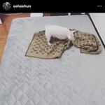 오세훈 ㄹㅇ 영앤리치앤<b>핸섬</b>