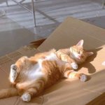 [댓글부탁해] 응팔 <b>정환</b>이 뭐임