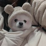 확실히 피부 뽀얗고 잡티 없으면 예쁨이 2배