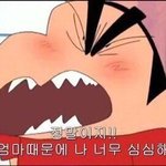 [댓글부탁해] <b>특성</b>화고 다니는 선배님들 있엉?
