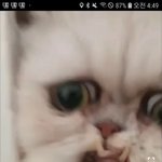 저 밑에있는 소리지르는 영상 보고왔음