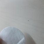 [댓글부탁해] 화장<b>솜</b> <b>이</b>부분 쓰는거 맞어?