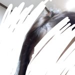나보다 탈모 심한애 잇냐