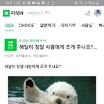 <b>지식</b>인 이거 ㅈㄴ 귀엽닼ㅋㅋㅋㅋ