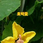 [댓글부탁해] 나지금 너무 당황스러워