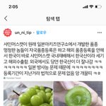 미친 일본 <b>꼴</b> 좋다 ㅎㅎ