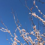 밖에 봄<b>냄새</b> 난다