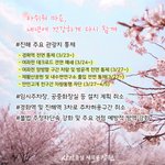 <b>창원시</b>, 진해군항제 취소…