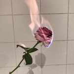 [드루와] 우리 엄마 지금 <b>회식</b>하는데