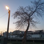 얘드라 시골 <b>갬성</b> 어때