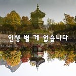 [꼭봐주세요] 인생 별 거 없습니다~