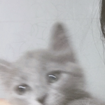 [19] 울집<b>애용</b>이보고가라