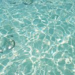 [댓글부탁해] 나 엄마한테 <b>개혼</b>낫는데 개웃김ㅋㅋㅋㅋ