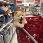 지금 알바 <b>ing</b>중인 친구들 있니???