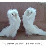 [댓글부탁해] 근데ㅜ넷플 은근 볼거없지않냐