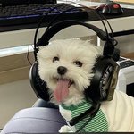 [NCT] 나 애들 노래 진짜 아껴듣는편이라