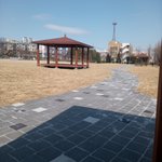오늘 모교로 산책갔다왔는데