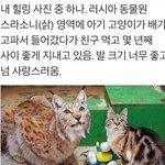 [ㅈㄱㄴ] 요즘 <b>액</b><b>괴</b> 유튜브 영상 주제