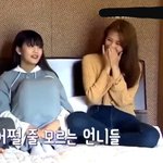 얘 앞머리 있는 거랑 없는 거 갭차이 봐