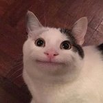 다이어트<b>일지</b>1일차