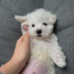[19] 야 나 어떡함