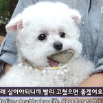 [댓글부탁해] 기립성저혈압 심한애들 잇니