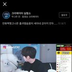 [댓글부탁해] 이 강아지 무슨 종이야???