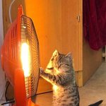 [드루와] <b>본인</b> mbti랑 현재 <b>책상</b>상태 적고가라