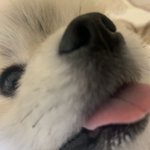 [드루와] <b>진저</b>쿠키 만들었다!