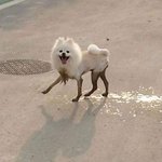 볼링치러 가면 옆사람들이랑