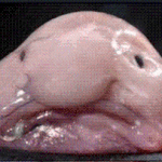 잘목했ㅅ습니다 잘모샣ㅆ습니디 잘못했슥니다 멈춰주세요 <b>조시</b>ㅗㅇ합니다...