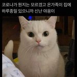 [드루와] <b>비밀정원</b> 노래 있잖아