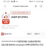 2013년 판에서 설리 <b>여론</b>....