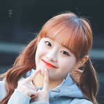 에쎔 죽어간다고 하잖아