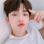 [세븐틴] 혹시 이거 셀카 배경화면 만드신 분 있을까? ㅜㅜ