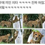 [NCT] 나 이거 맠을 위해 <b>저장</b>해써..