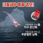 크릴<b>오일</b>, 꼭 먹어야 하나요?