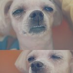 [댓글부탁해] 괜히 <b>아련</b>해지는 노래 있음?