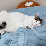 잠이 안와서 우리 애들 자랑좀...ㅎㅎ