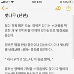 내가 옛날에 썼던 글ㅋㅋㅋㅋㅋ시 발