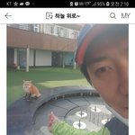 농구하다 멸종위기1급 "야생여우"를 만났습니다.